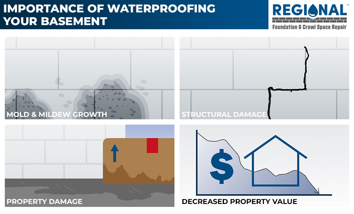DryBase Pro - Basement Waterproofing